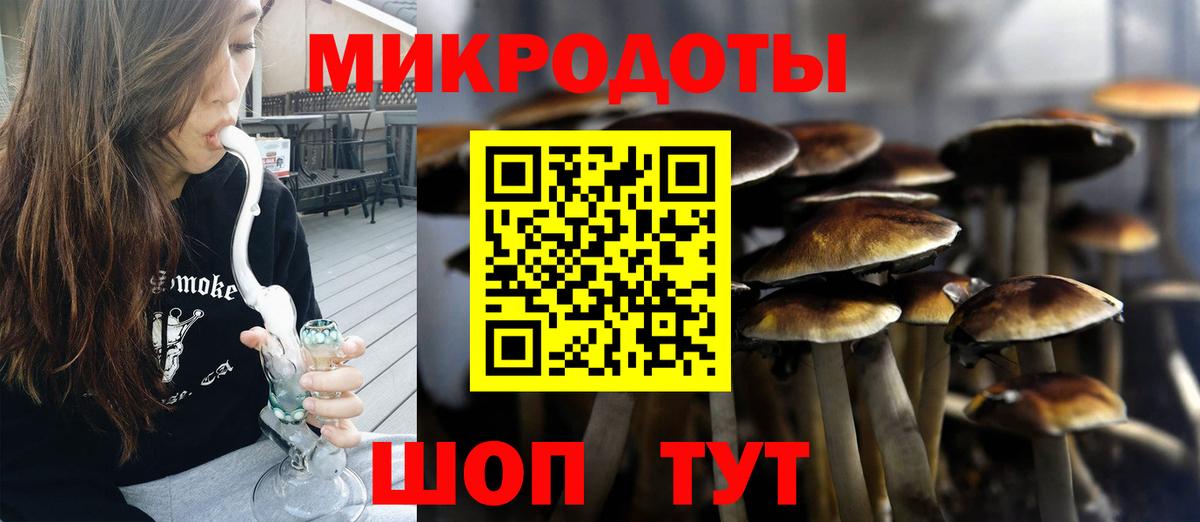 Галлюциногенные грибы Cubensis  Вход с VPN  Ярославль  Галлюциногенные грибы ЛСД 